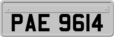 PAE9614