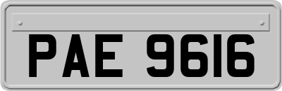 PAE9616