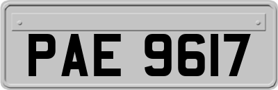 PAE9617