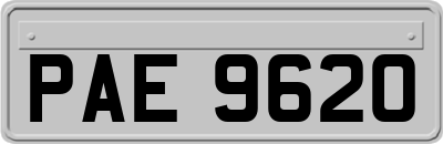 PAE9620