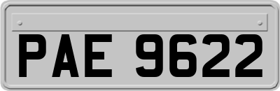 PAE9622