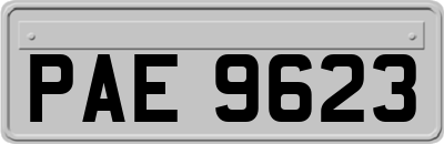 PAE9623