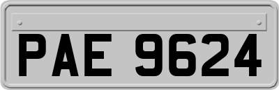 PAE9624