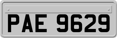 PAE9629