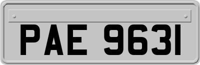 PAE9631