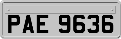 PAE9636