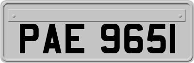 PAE9651