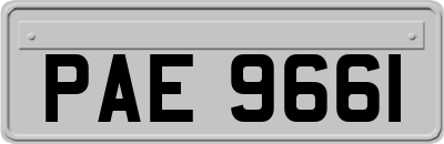 PAE9661