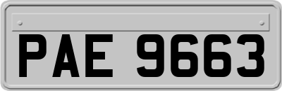 PAE9663