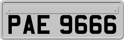 PAE9666