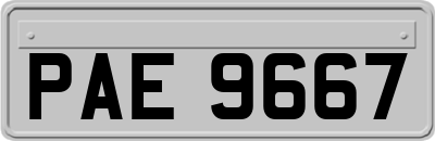 PAE9667