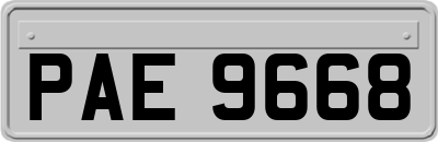 PAE9668