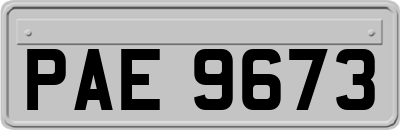 PAE9673