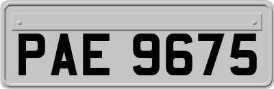 PAE9675
