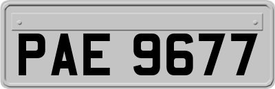 PAE9677
