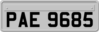 PAE9685