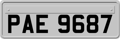 PAE9687