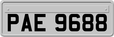 PAE9688