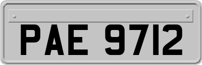 PAE9712