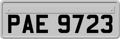 PAE9723