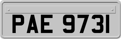 PAE9731