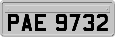 PAE9732