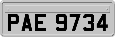 PAE9734