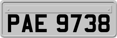 PAE9738