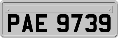 PAE9739
