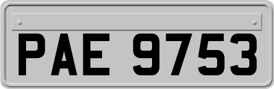 PAE9753