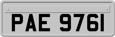 PAE9761