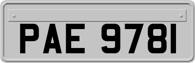 PAE9781