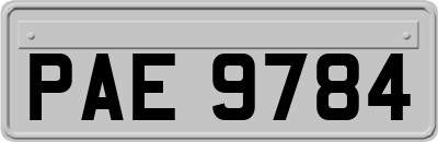 PAE9784