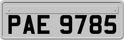 PAE9785