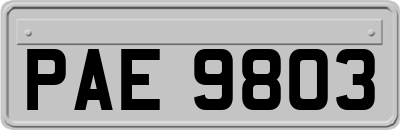 PAE9803