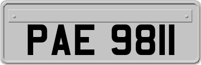 PAE9811
