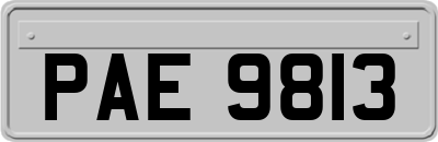 PAE9813