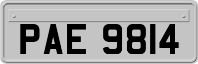 PAE9814