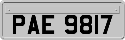 PAE9817