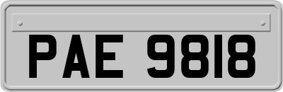 PAE9818