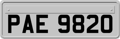 PAE9820