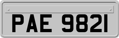 PAE9821