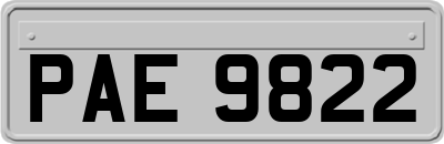 PAE9822