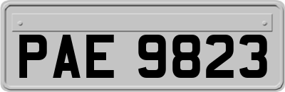 PAE9823