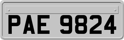 PAE9824