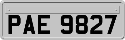 PAE9827