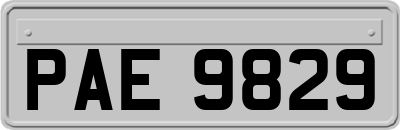 PAE9829