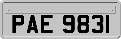 PAE9831