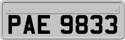 PAE9833