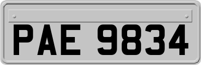 PAE9834